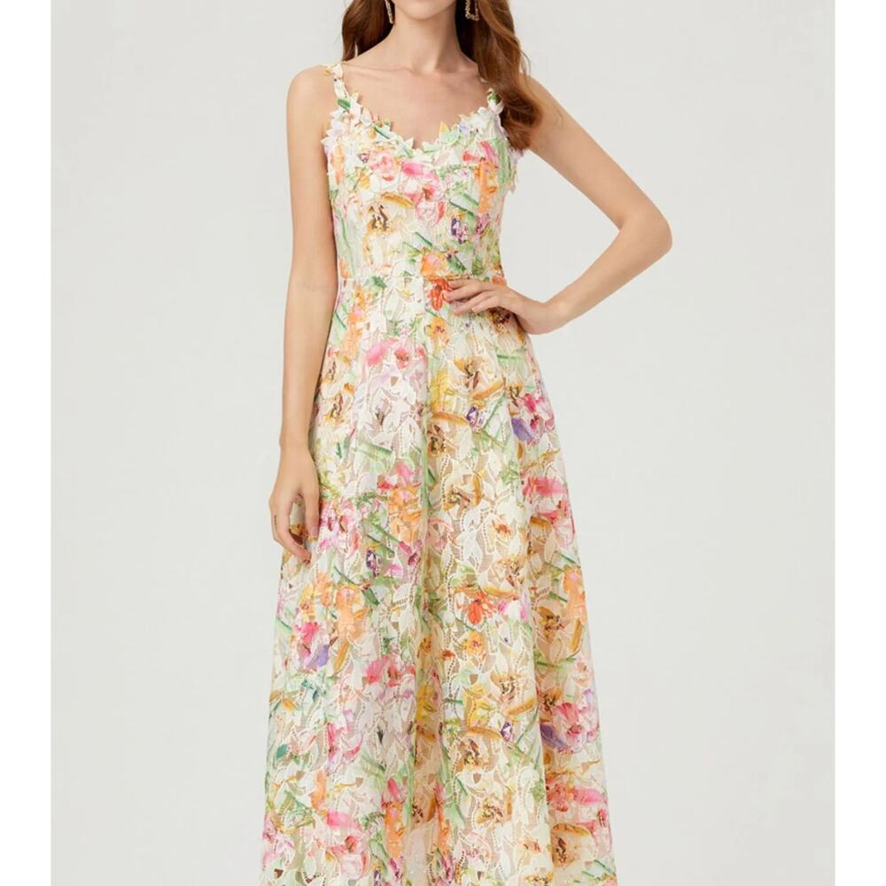 Catchall Boswell Floral Embroider Midi Dress NWT Size Large